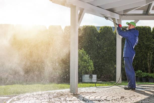 Best Roof Washing  in St Augustine, FL